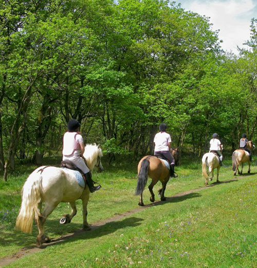 LES BALADES ET RANDONNÉES : RANDO-CHEVAL & CANI-RANDO