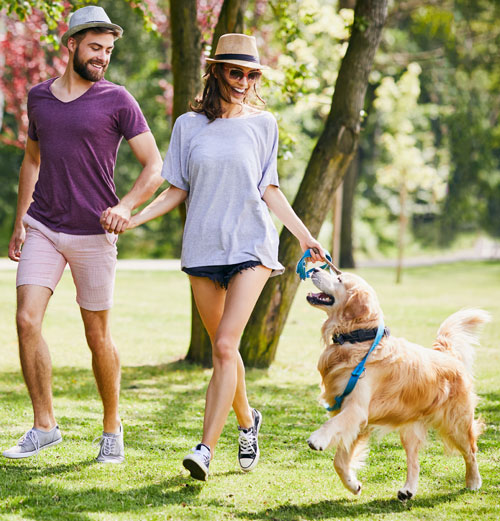 LES BALADES ET RANDONNÉES : RANDO-CHEVAL & CANI-RANDO