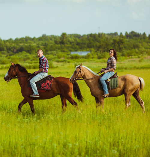 LES BALADES ET RANDONNÉES : RANDO-CHEVAL & CANI-RANDO