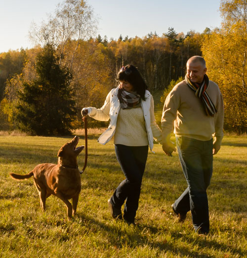 LES BALADES ET RANDONNÉES : RANDO-CHEVAL & CANI-RANDO