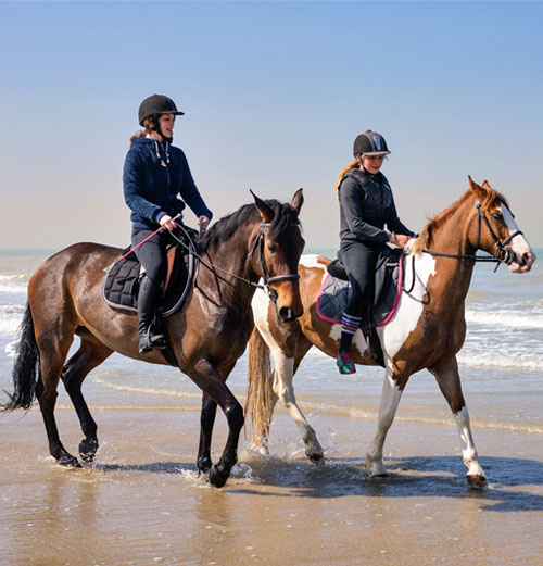 LES BALADES ET RANDONNÉES : RANDO-CHEVAL & CANI-RANDO