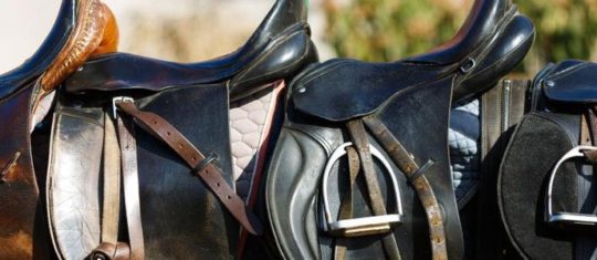 équipement du cheval