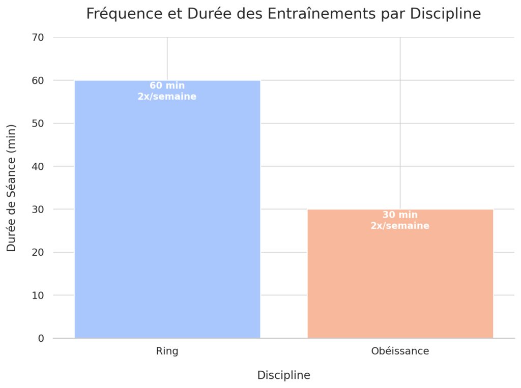 Comment participer à une compétition canine ? Comment participer à une compétition canine ?