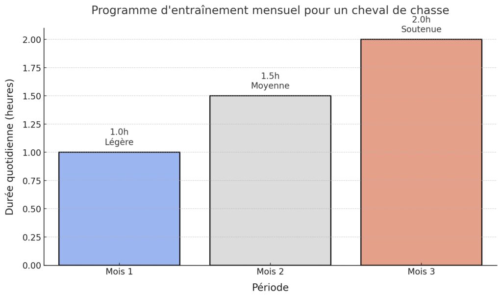 L’entraînement et la préparation du cheval de chasse